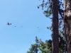 IMG_20260612_133917