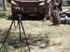 IMG_20260612_141155